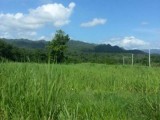 Heathfield Linstead, St. Catherine, Jamaica - Residential lot for Sale